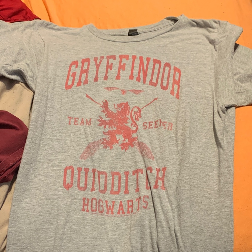 Gryffindor Quidditch mens  T-Shirt - Gray and Red